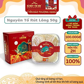 Yến Khánh Hòa - Nguyên Tổ Rút Lông [Hộp 50g] - Đệ Nhất Yến Đảo - Tăng cường sức đề kháng - Bổ phổi - Hỗ trợ điều trị ung thư - Điều hòa huyết áp - Cải thiện giấc ngủ - Bổ khí dưỡng nhan - Tăng cường sinh lực nam nữ