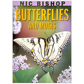 Nic Bishop: Butterflies And Moths