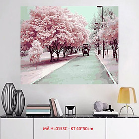 Mua Tranh sơn dầu số hóa tự vẽ Con đường hoa anh đào mã HL0153C