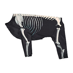 Halloween Skeleton Dog Costume Apparel Clothes Props Dress up Halloween Pet Costume Cosplay Outfit for Beauty Contests Puppy Kitten Festival