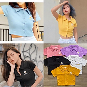 Áo croptop cổ trụ thêu hoa cúc