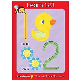 Little Genius Giant Flash - Lake Press