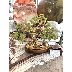 Cây Tài Lộc bonsai phong thủy đá peridot xanh - Cao 40 cm