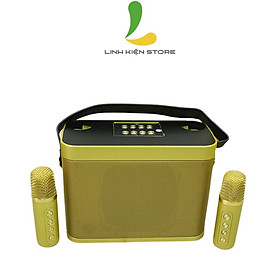 Mua Loa Bluetooth Karaoke YS219 (YS-219) - Loa di động chất liệu nhựa cứng tặng kèm bộ đôi micro không dây nhẹ hơi có chức năng thay đổi giọng nói