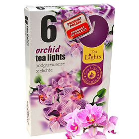 Mua Hộp 6 nến thơm tinh dầu Tealight Admit Orchid QT026069 - lan hồ điệp