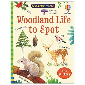 Woodland Life To Spot - Đang cập nhật