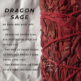Dragon's Blood Sage - Xô Thơm Huyết Rồng thảo mộc xông nhà, thanh tẩy và thu hút may mắn l Chakra Heal Incense