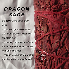 Mua Dragon s Blood Sage - Xô Thơm Huyết Rồng thảo mộc xông nhà  thanh tẩy và thu hút may mắn l Chakra Heal Incense