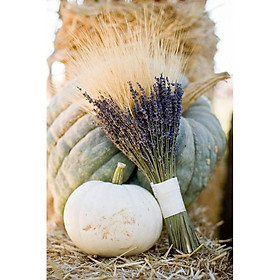 Loại đẹp Hoa khô LAVENDER - Hoa khô OẢI HƯƠNG decor trang trí nhà cửa, đạo cụ chụp ảnh