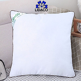Mua Ruột Gối Vuông Viền Đen Lidaco 45x45cm (1 Chiếc)