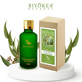 Tinh dầu Bạch Đàn Chanh, tinh dầu thư giãn 50ml BIYOKEA 