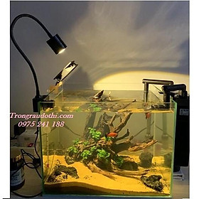 Mua Đèn led vàng chiếu rọi bể thủy sinh tạo hiệu ứng hoài cổ ma mị kỳ bí khá hay  dùng được cho mọi loại bể