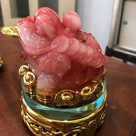 Mua Tượng Cóc đỏ cõng thỏi vàng thiềm thừ phong thủy đế xoay cao 13cm đk 11cm hợp mệnh hỏa mệnh thổ ạ