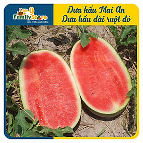 Dưa hấu Long An - Hắc Mỹ Nhân, ruột đỏ - Mai An - Trái 2,5/3KG