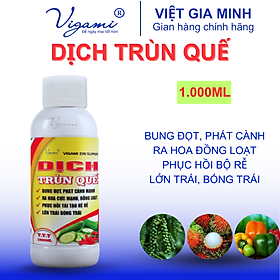 Mua Phân bón Vigami Zin Super DỊCH TRÙN QUẾ bung đọt  phát cành  ra hoa... 1000ml