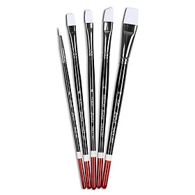Bộ 5 Cây Cọ Vẽ Cao Cấp Angelus Paint Brushes