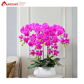 Mua Chậu hoa lan hồ điệp cao su 5 cành cao cấp 60cm trang trí phòng khách  phòng làm việc  nhà hàng  khách sạn  spa sang trọng Anzzar