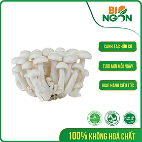 Hình ảnh Nấm ngọc châm trắng ( Linh chi trắng - Hộp 150g)