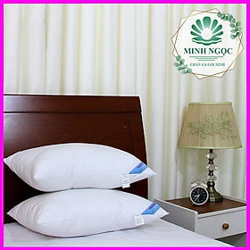 Mua Ruột gối bông gòn ép hơi 40x60 cm có khóa kéo