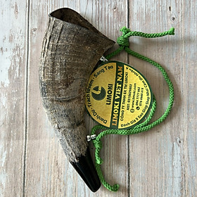 Mua Tù Và Bằng Sừng Trâu Thô