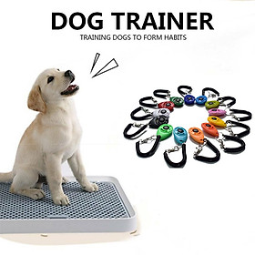 Dog Training  Training  Adjustable Product Supplies