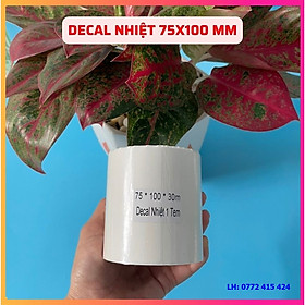 Mua Combo 10 cuộn Decal nhiệt 75x100mm  giấy in decal 75x100mm in vận đơn hàng TMDT Tiki  GHN  GHTK...