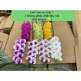 Mua cành lan cao su 9 bông giống thật 99% loại 1