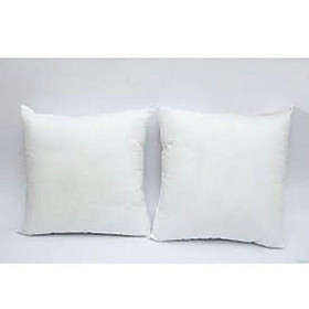 Mua Combo 2 Chiếc Ruột Gối Vuông Ép Hơi Cao Cấp 45x45