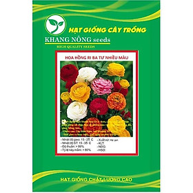 Hạt giống hoa hồng ri ba tư mix màu KNS3425 - Gói 10 hạt