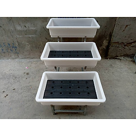 Mua Kệ Trồng Rau Sạch Bậc Thàng 3 Tầng Chậu Đại INOX -Chưa Chậu