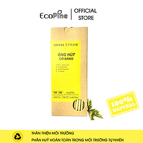 Mua Hộp 100 Ống Hút Cỏ Bàng Ecopine Dài 20 cm - Dùng Được Cho Tất Cả Các Loại Thức Uống