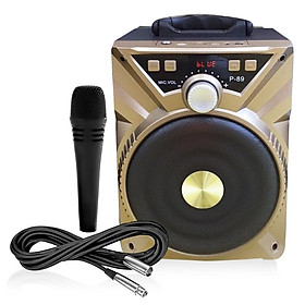 LOA KARAOKE BLUETOOTH P88 / P89 XÁCH TAY (Giao màu ngẫu nhiên)