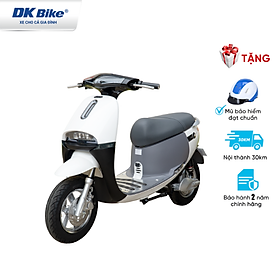 Xe máy điện DK Bike New Gogo New 2022