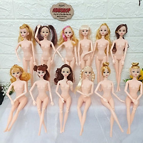 Búp Bê Barbie 30cm Mắt Vẽ Hàng 12 Khớp Sunnydoll