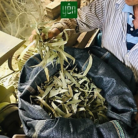 Mua Nhang Thảo Mộc Chung Cư Mix Quế Khuynh Diệp Hương Bài 23cm Hộp 100 Thanh Yên 100 % Tự Nhiên Thờ Cúng