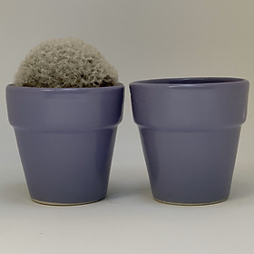 Bộ 2 Chậu Sứ - 7x7x7 Cm - Mầu Tím - Dáng Trôn Ốc - Chậu Gốm Bát Tràng Trồng Cây Mini Để Bàn, Tiểu Cảnh Terrarium, Sen Đá & Xương Rồng