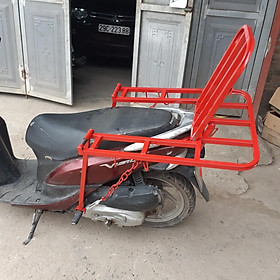 Mua Giá xe máy đa năng dùng để chở hàng  lắp đặt cho mọi loại xe máy -hangsatsontung