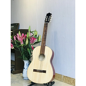 Guitar Classic Việt Nam CLES