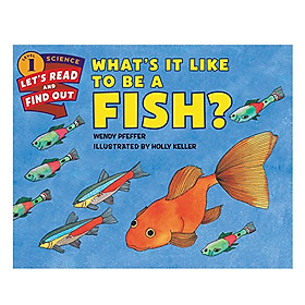 Lrafo L1: What's It Like To Be A Fish?