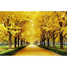 Tranh dán tường 3D con đường mùa thu vàng hai hàng cây - vải lụa phủ kim sa (Kích thước theo yêu cầu)