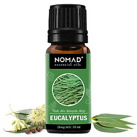 Tinh Dầu Thiên Nhiên Khuynh Diệp Nomad Essential Oils Eucalyptus
