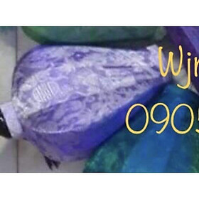 Đèn lồng tỏi ngược hội an