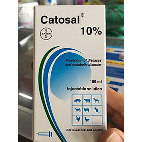 catosal, 100cc/ chai