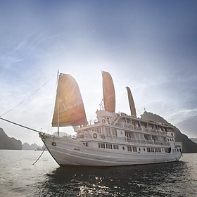 Trải Nghiệm Cực Sốc Tour Du Lịch 2 Ngày 1 Đêm Ngủ Trên Du Thuyền 5 Sao Aphrodite Cruises Thăm Vịnh Hạ Long, Trải Nghiệm Chèo Thuyền Kayak
