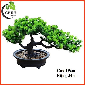 Cây thông giả, chậu cây bonsai cao 19-26cm để bàn, trang trí kệ, bàn làm việc tủ độc đáo