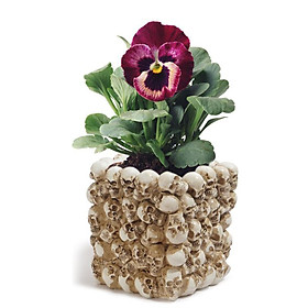 Human Skull Design Flower Pot Succulent Cactus Plant Potted Container Crafts