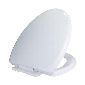 Mua Nắp Bàn Cầu Ráp Chuẩn VIGLACERA BL05