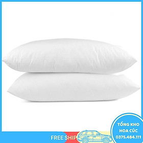 Mua Ruột Gối Nằm Ép Hơi 40X60 (2 Cái) - Vận Chuyển Miễn Phí Toàn Quốc