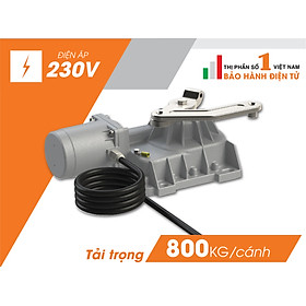 Mua Cổng tự động âm sàn Roger Italia R21/351