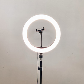 Mua Đèn Livestream size 26 36 45 cm và chân đế 2m hỗ trợ chụp ảnh Make up trang điểm nhiều chế độ sáng  kèm kẹp điện thoại - Hàng chính hãng